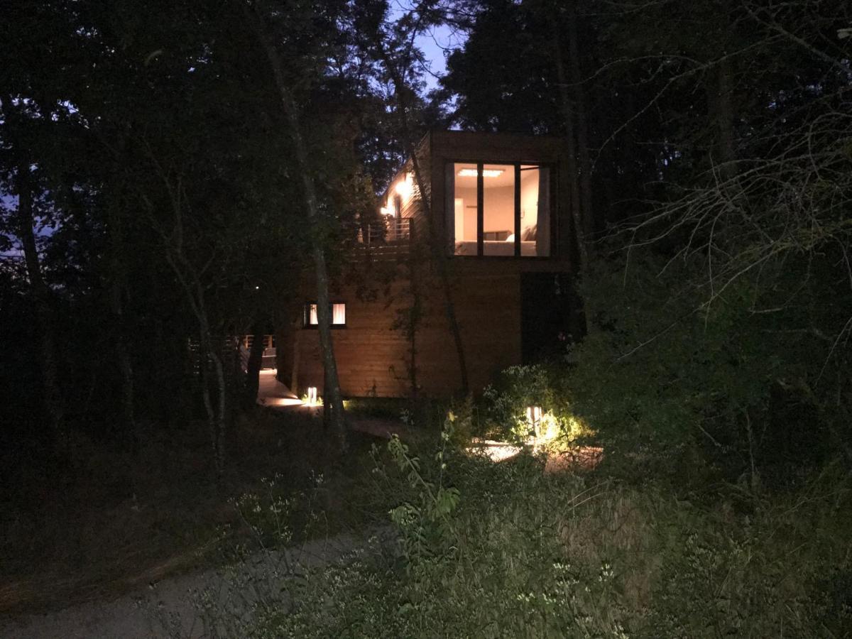 Les Cocons De L'Illon Bed & Breakfast Ville-sur-Illon Dış mekan fotoğraf
