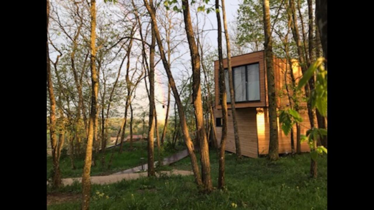 Les Cocons De L'Illon Bed & Breakfast Ville-sur-Illon Dış mekan fotoğraf